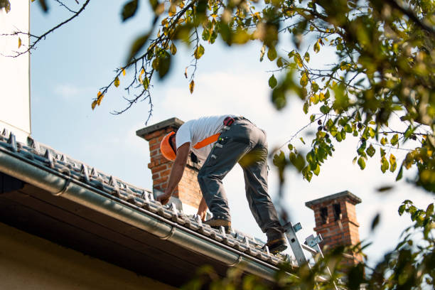 Best Flat Roof Repair Services  in Penn State Erie, PA