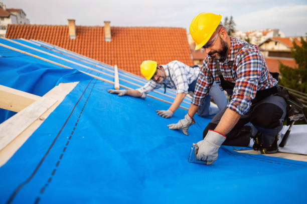 Quick and Trustworthy Emergency Roof Repair Services in Penn State Erie, PA